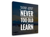 Moderan slika na platnu s motivom You are never too old, okean, planine, nebo, plaža u bijelih nijansama, priroda i mudrost, pogodan za kancelarije – proizvod