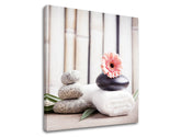 Klasičan slika na platnu s motivom FENG SHUI, cvijeće, priroda u bijelo-bežih nijansama, mirna atmosfera, priroda, pogodan za dnevnog boravka | Slika na platnu FENG SHUI_053-12 – proizvod