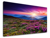 Klasičan slika na platnu s motivom planine, nebo, sunce, pejzaž, cvijeće u ljubičasto-narandžastih nijansama, mirna atmosfera, priroda i samoća, pogodan za dnevnog boravka – glavna