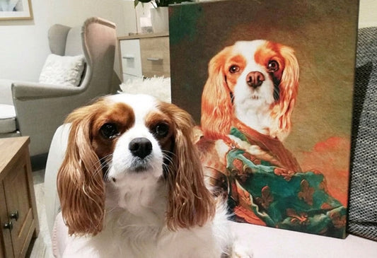 Životinjski portreti na platnu - savršene slike za cijelu porodicu