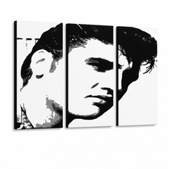 Ručno oslikana POP Art slika ELVIS 3 dijela el – 3D vizualizacija ručno oslikanog platna na bijeloj pozadini. Dominantne boje: crna, bijela, siva.