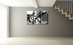 Pop art slika s motivom STAR WARS, priroda u sivih nijansama | Ručno slikan POP Art slika STAR WARS, nostalgija – pregled