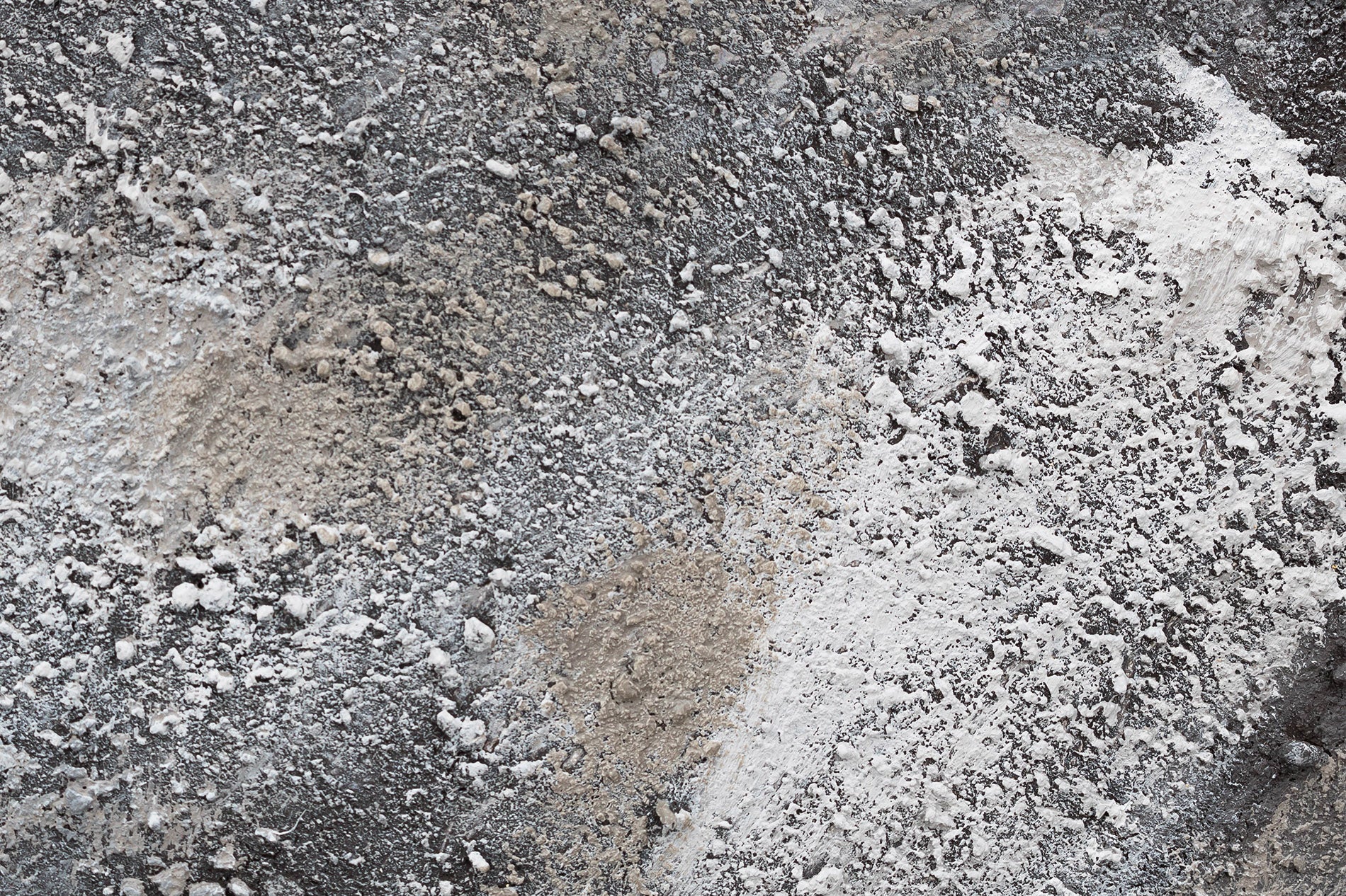 U skandinavskom stilu slika na platnu s motivom slon, mapa, priroda u bijelo-bežih nijansama, veličanstvena atmosfera, priroda i snaga, pogodan za dnevnog boravka – proizvod, pogled 3