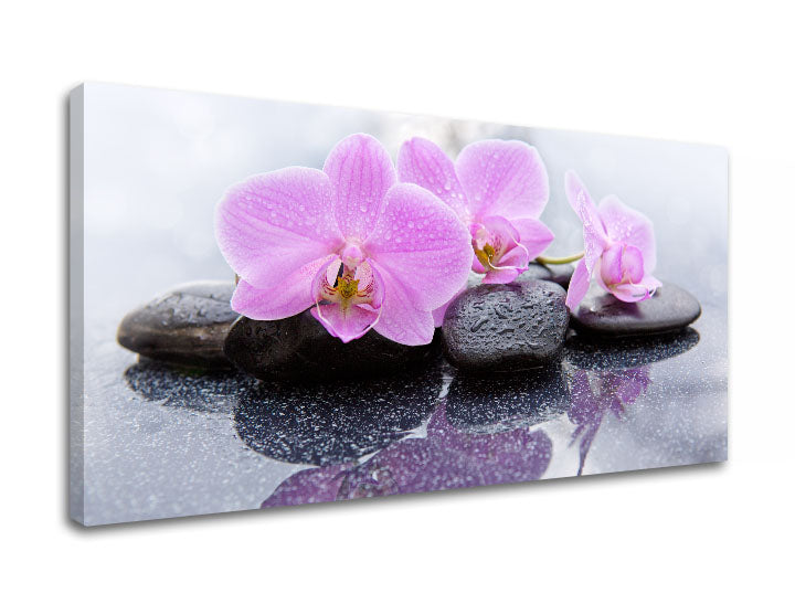 U boho stilu slika na platnu s motivom FENG SHUI, priroda u bijelo-ružičastih nijansama, mirna atmosfera, priroda, pogodan za dnevnog boravka | Slika na platnu FENG SHUI_062-11 – proizvod