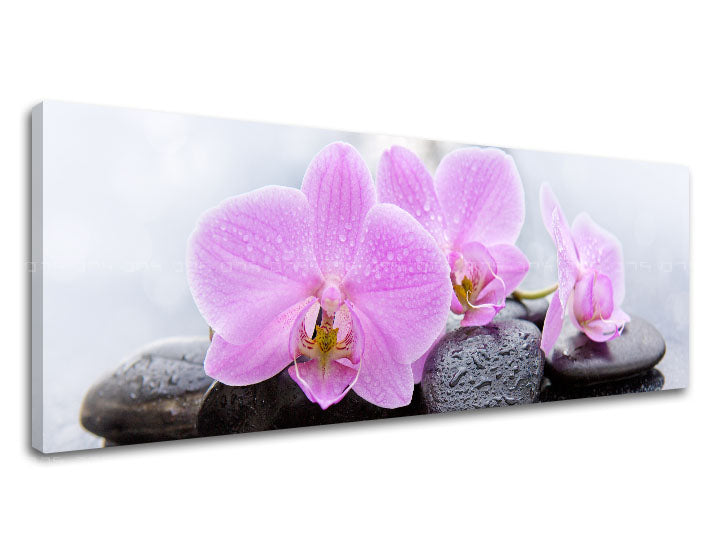 Klasičan slika na platnu s motivom FENG SHUI, cvijeće, priroda u bijelo-ružičastih nijansama, mirna atmosfera, priroda, pogodan za dnevnog boravka | Slika na platnu FENG SHUI_062-13 – proizvod