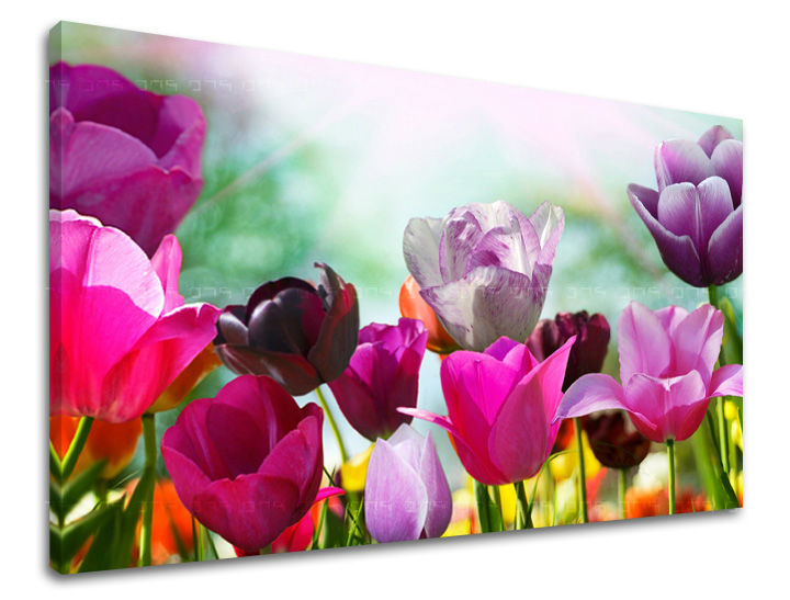 Moderna slika na platnu s motivom CVIJEĆE TULIPANI, tulipani, cvijeće, bašta u ljubičastim nijansama, vesela atmosfera, proljetna atmosfera i priroda – glavna