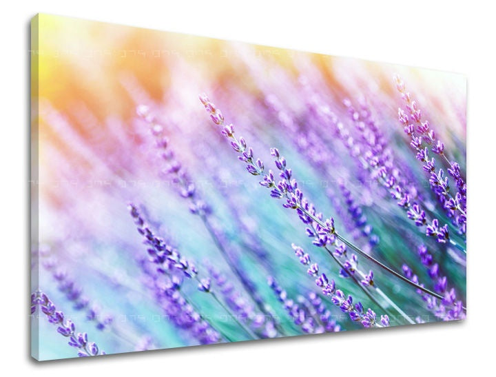 Klasičan slika na platnu s motivom lavanda, cvijeće, pejzaž, priroda, životinja u ljubičasto-narandžastih nijansama, mirna atmosfera, pogodan za spavaće sobe – glavna