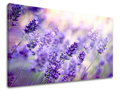 Geometrijski slika na platnu s motivom lavanda, cvijeće, polje, dječji motiv, mapa u bijelo-sivih nijansama, mirna atmosfera, priroda, trodijelna izvedba – glavna