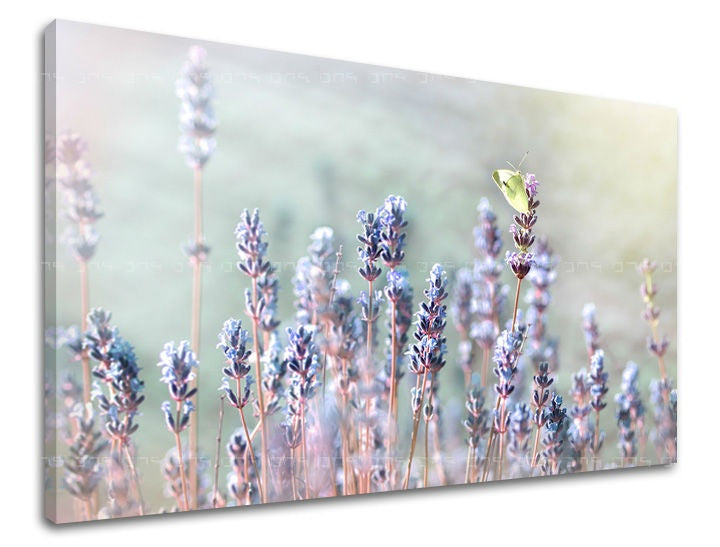 Klasičan slika na platnu s motivom lavanda, leptir, cvijeće, mapa, životinja u ljubičasto-zelenih nijansama, mirna atmosfera, priroda i proljetna atmosfera – glavna