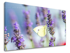 Klasičan slika na platnu s motivom leptir, lavanda, cvijeće, mapa, priroda u ljubičasto-plavih nijansama, mirna atmosfera, priroda i proljetna atmosfera – glavna