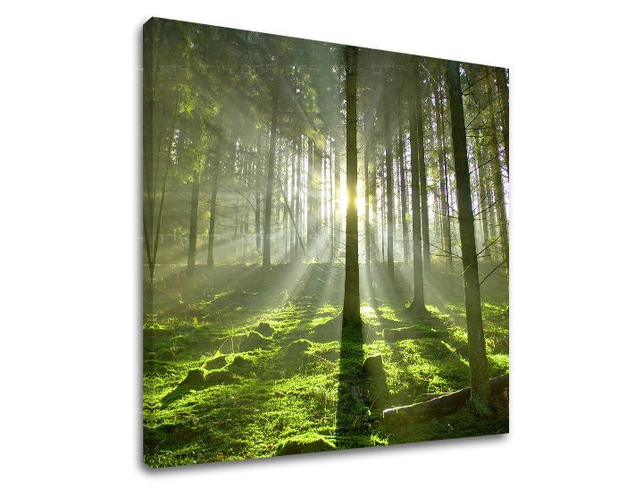 Klasičan slika na platnu s motivom šuma, drveće, pejzaž, mapa, priroda u zeleno-žutih nijansama, mirna atmosfera, priroda i simbol obnove – glavna