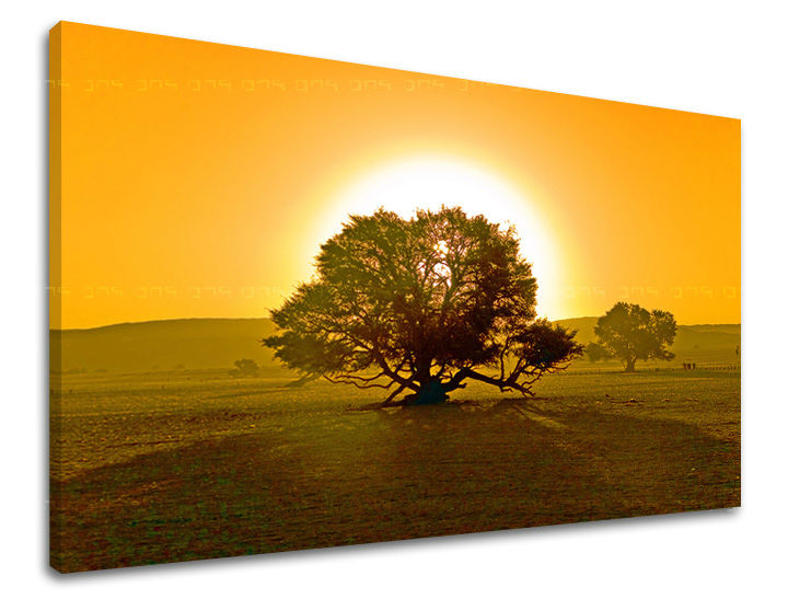 Klasičan slika na platnu s motivom drvo, sunce, polje, nebo, pejzaž u smeđe-narandžastih nijansama, mirna atmosfera, priroda i samoća, pogodan za dnevnog boravka – glavna