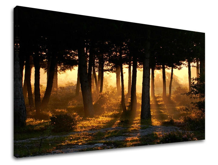 Klasičan slika na platnu s motivom šuma, drveće, stazica, izmaglica, dječji motiv u smeđe-zelenih nijansama, mirna atmosfera, priroda i samoća – glavna