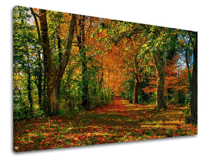 Klasičan slika na platnu s motivom drveće, nebo, pejzaž, mapa, priroda u smeđe-narandžastih nijansama, mirna atmosfera, priroda i samoća, pogodan za hodnika – glavna