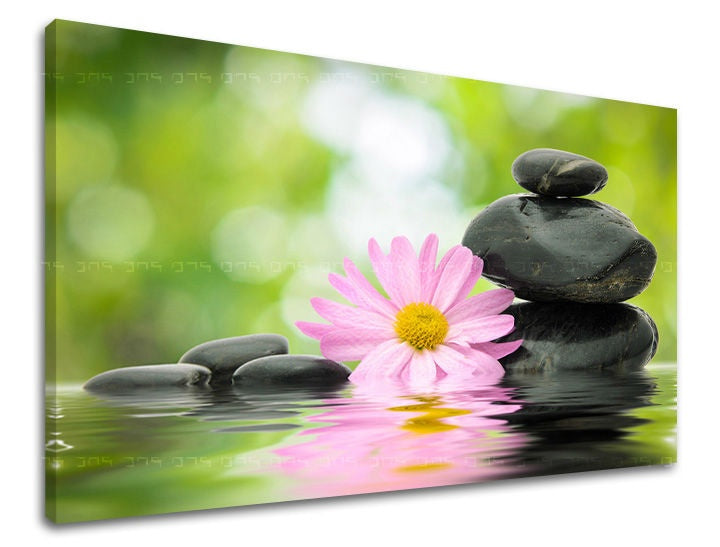 Klasičan slika na platnu s motivom FENG SHUI, priroda u ružičasto-zelenih nijansama, mirna atmosfera, harmonija, pogodan za dnevnog boravka | Slika za zid FENG SHUI – glavna