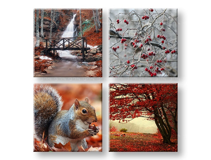 Kolaž slika s motivom Beauty of Autumn, vodopad, pejzaž u smeđe-narandžastih nijansama | Slika za zid Beauty of Autumn, priroda – pregled
