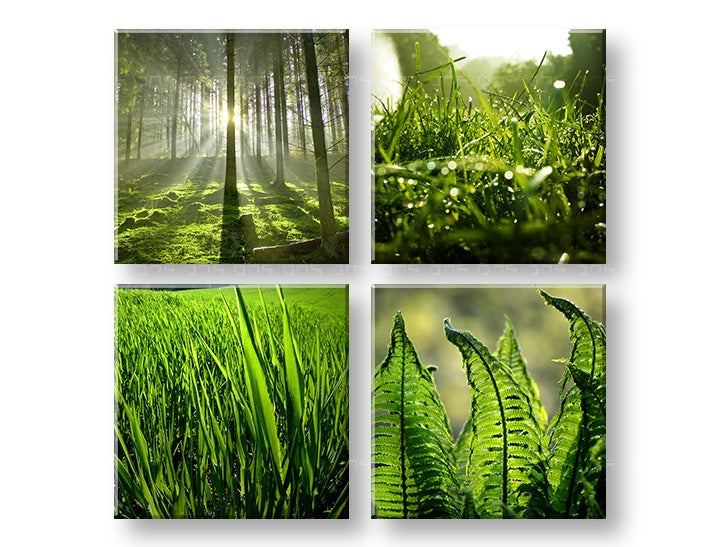 U boho stilu slika s motivom Sunrise of Nature, šuma, pejzaž u zelenih nijansama | Slika za zid Sunrise of Nature, priroda i proljetna atmosfera – pregled