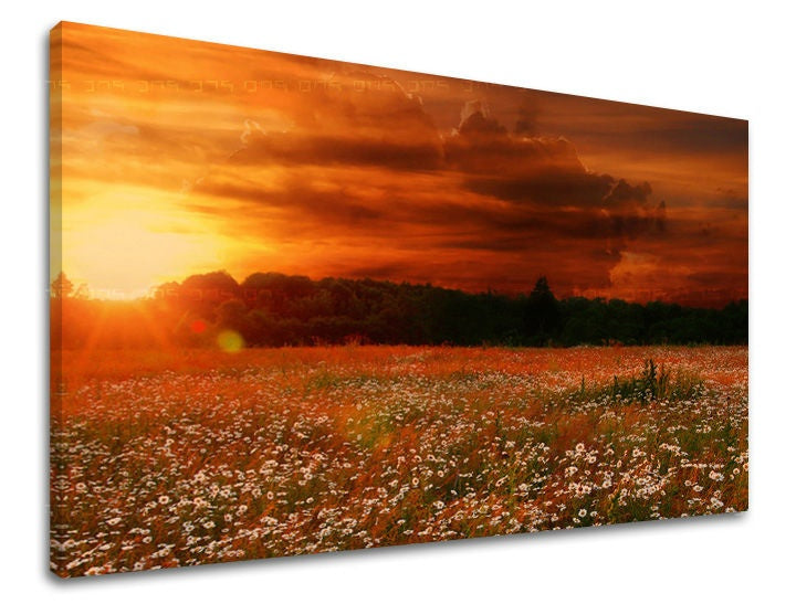 U boho stilu slika na platnu s motivom zalazak sunca, polje, drveće, nebo, pejzaž u bijelo-narandžastih nijansama, dramatična atmosfera, pogodan za dnevnog boravka – glavna