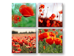 Kolaž slika s motivom Meadow of poppy poppies, makovi, cvijeće u zeleno-crvenih nijansama | Slika za zid Meadow of poppy poppies, proljetna atmosfera i rast i razvoj – pregled