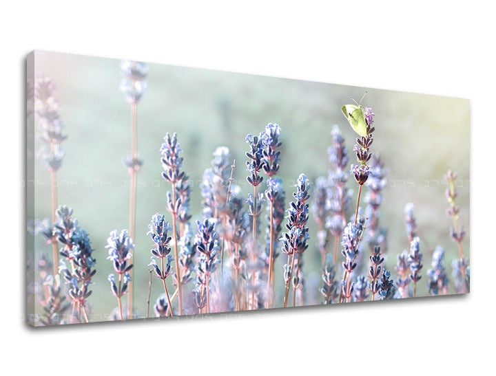 Klasičan slika na platnu s motivom PANORAMA CVIJEĆE, lavanda, leptir, polje, cvijeće u ljubičasto-zelenih nijansama, mirna atmosfera, pogodan za spavaće sobe – glavna