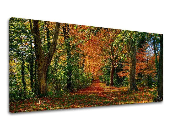 Klasičan slika na platnu s motivom PANORAMA DRVEĆE, drveće, pejzaž, mapa, priroda u narandžasto-zelenih nijansama, mirna atmosfera, pogodan za hodnika – glavna