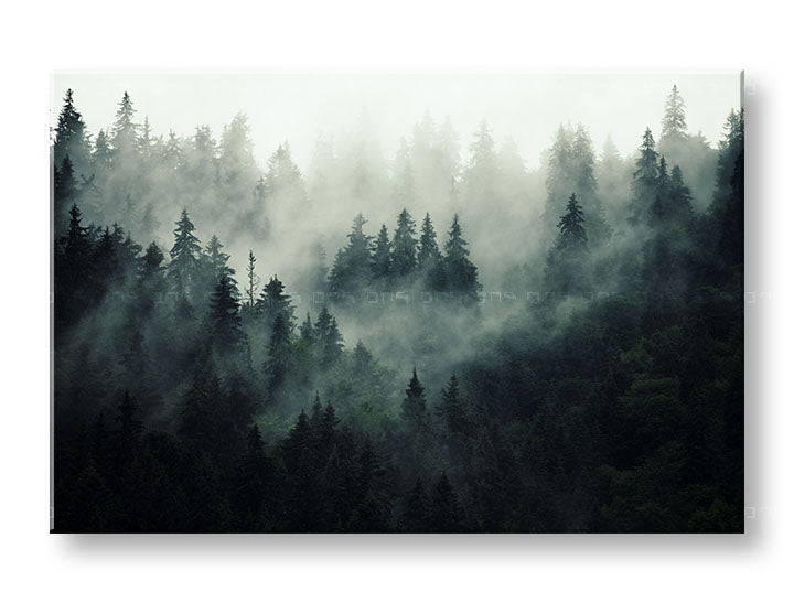 Klasičan slika na platnu s motivom HORY, magla, izmaglica, pejzaž, mapa u bijelo-sivih nijansama, svečana atmosfera, priroda i samoća, pogodan za kancelarije – glavna