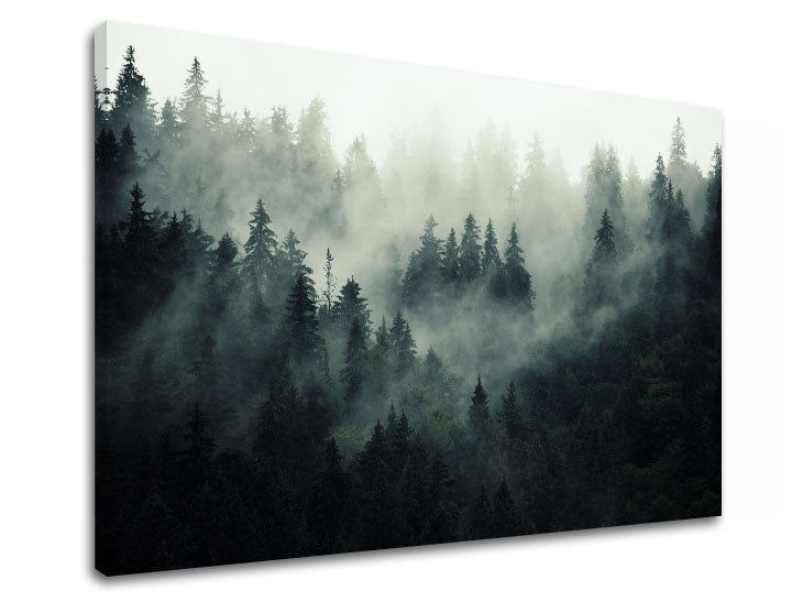 Klasičan slika na platnu s motivom HORY, magla, izmaglica, pejzaž, mapa u bijelo-sivih nijansama, svečana atmosfera, priroda i samoća, pogodan za kancelarije – proizvod