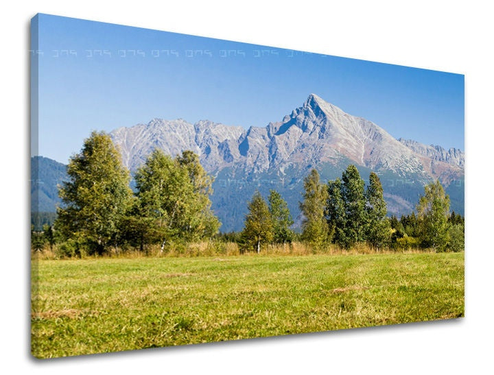 Klasičan slika na platnu s motivom SLOVAČKA, planina, drveće, nebo, polje u plavo-zelenih nijansama, mirna atmosfera, priroda, pogodan za kancelarije – glavna