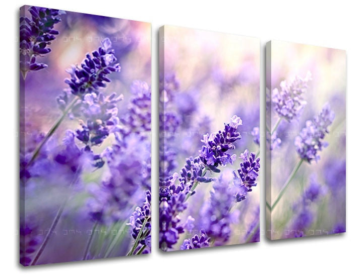 Geometrijski slika na platnu s motivom lavanda, cvijeće u bijelo-sivih nijansama, mirna atmosfera, priroda i proljetna atmosfera, trodijelna izvedba – glavna