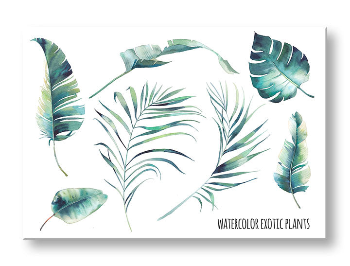 Moderan slika na platnu s motivom priroda u bijelo-plavih nijansama, svježa atmosfera, priroda i tropski raj, pogodan za kancelarije | Slika za zid s textom Watercolor exotic plants – glavna