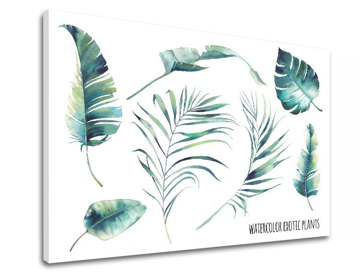 Moderan slika s motivom priroda u bijelo-plavih nijansama | Slika za zid s textom Watercolor exotic plants, priroda i tropski raj – pregled