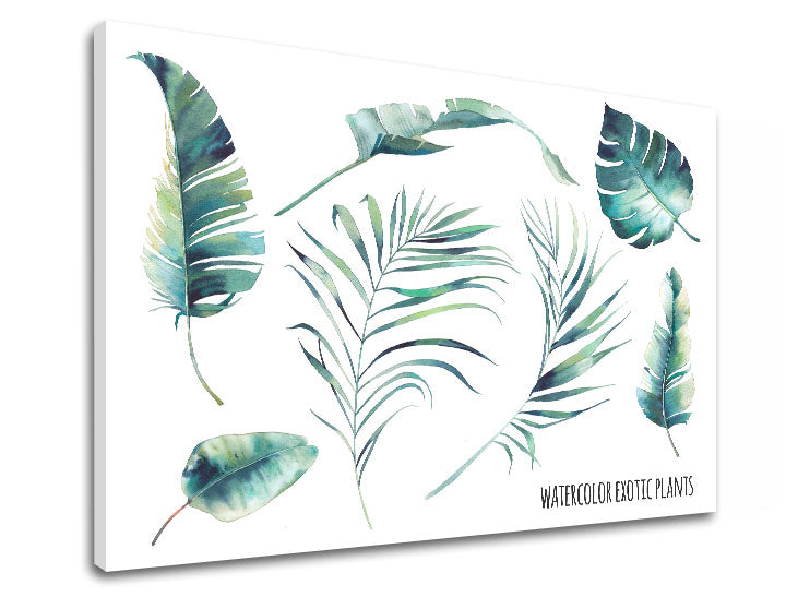 Moderan slika na platnu s motivom priroda u bijelo-plavih nijansama, svježa atmosfera, priroda i tropski raj, pogodan za kancelarije | Slika za zid s textom Watercolor exotic plants – proizvod