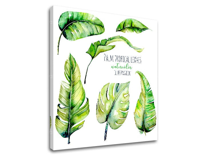 Moderan slika s motivom priroda u bijelo-zelenih nijansama | Slika za zid s textom Palm tropical leaves, priroda i tropski raj – pregled