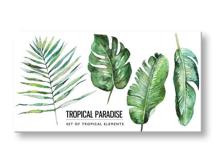 Industrijski slika na platnu s motivom priroda u bijelo-zelenih nijansama, svježa atmosfera, priroda, pogodan za dnevnog boravka | Slika za zid s textom Tropical paradise – glavna