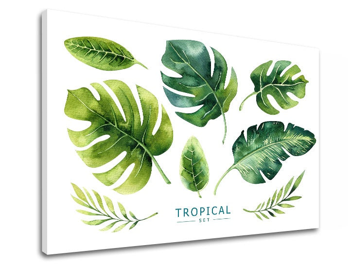Moderan slika s motivom priroda u bijelo-zelenih nijansama | Slika za zid s textom Tropical set, priroda i tropski raj – pregled